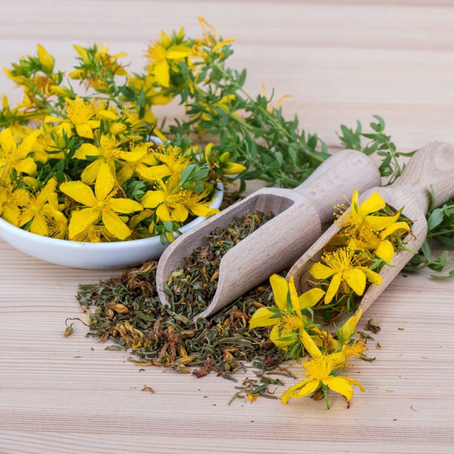 cosa è la naturopatia cosa è la naturopatia